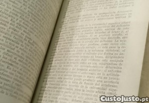 imagem_7