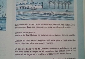 imagem_5