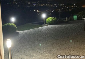 imagem_7