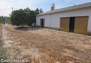 imagem_11