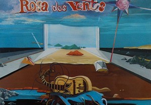 Disco Vinil Rosa dos Ventos -Rimando Contra a Maré
