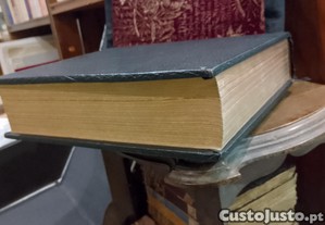 imagem_15