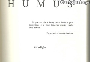 imagem_4