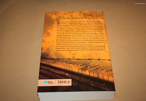 imagem_2