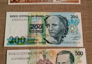 imagem_5