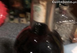 imagem_4