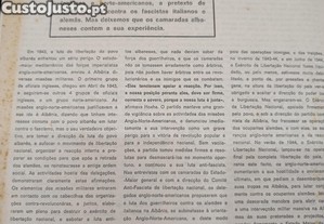 imagem_8