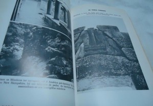 imagem_7