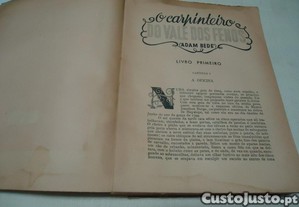 imagem_8