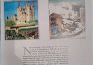 imagem_6