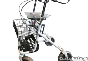 Andarilho de 4 Rodas (NOVO)