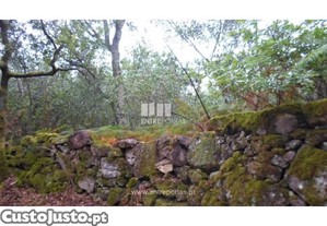 Terreno Viana do Castelo