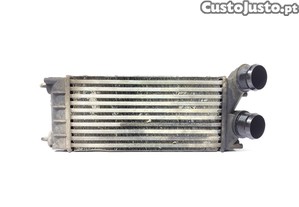 Intercooler Peugeot Partner Caixa