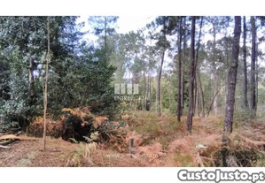 Terreno Viana do Castelo