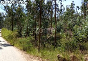 Terreno Florestal 20000 M2 Em Vilarinho Das Cambas