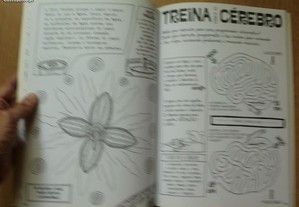 imagem_7