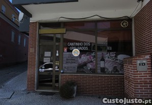 imagem_25