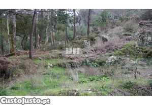 Terreno Caminha