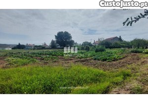 Terreno Viana do Castelo