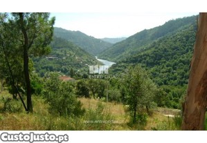Terreno Cinfães