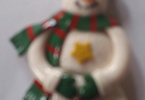 imagem_5