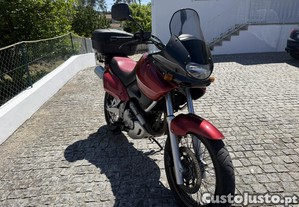 imagem_8