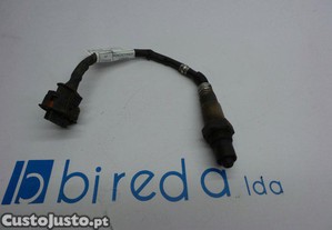 imagem_1