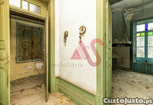 imagem_15