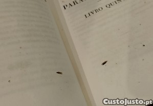 imagem_7