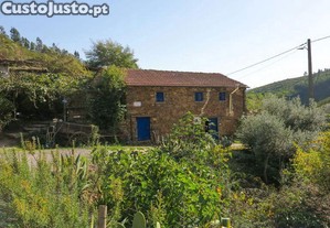 Quinta T5 em Figueir dos Vinhos e Bairradas de 33