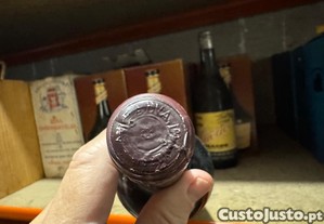 imagem_4