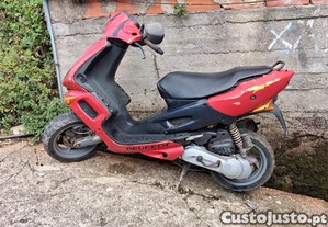 imagem_1