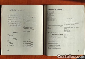 imagem_4