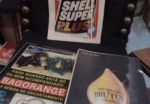 imagem_7