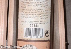 imagem_3