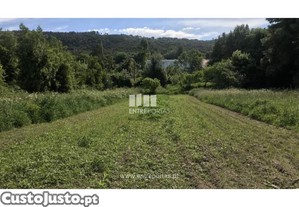 Terreno Caminha