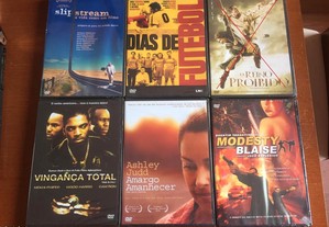 imagem_8
