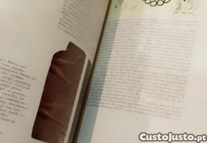 imagem_7