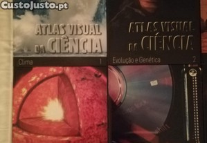 imagem_8