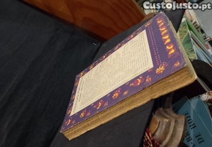 imagem_5