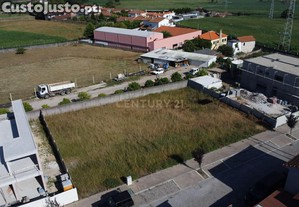 imagem_3