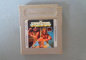 Jogo Game Boy WF Super Stars