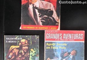 imagem_2