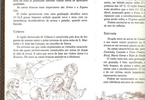 imagem_5