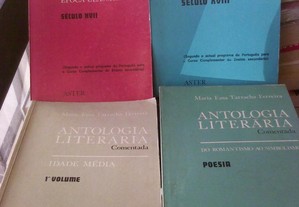 Antologia Literária de Maria Ema Tarracha Ferreira