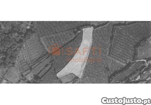 Terreno Com 3200 M2 No Urbanizvel.