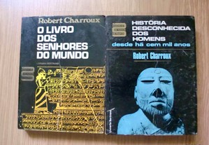 imagem_2