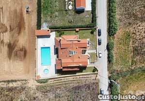 imagem_11