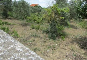 Terreno para construção no Casal da Cocha, Vila Fr