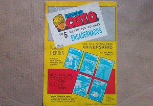 imagem_2